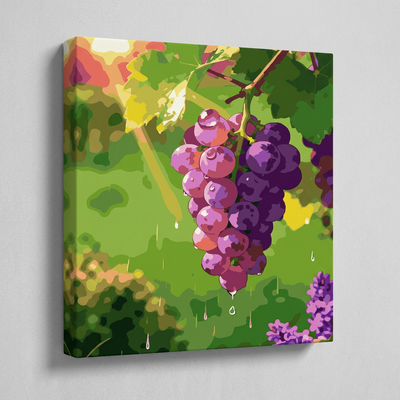 Uvas Malbec al Sol